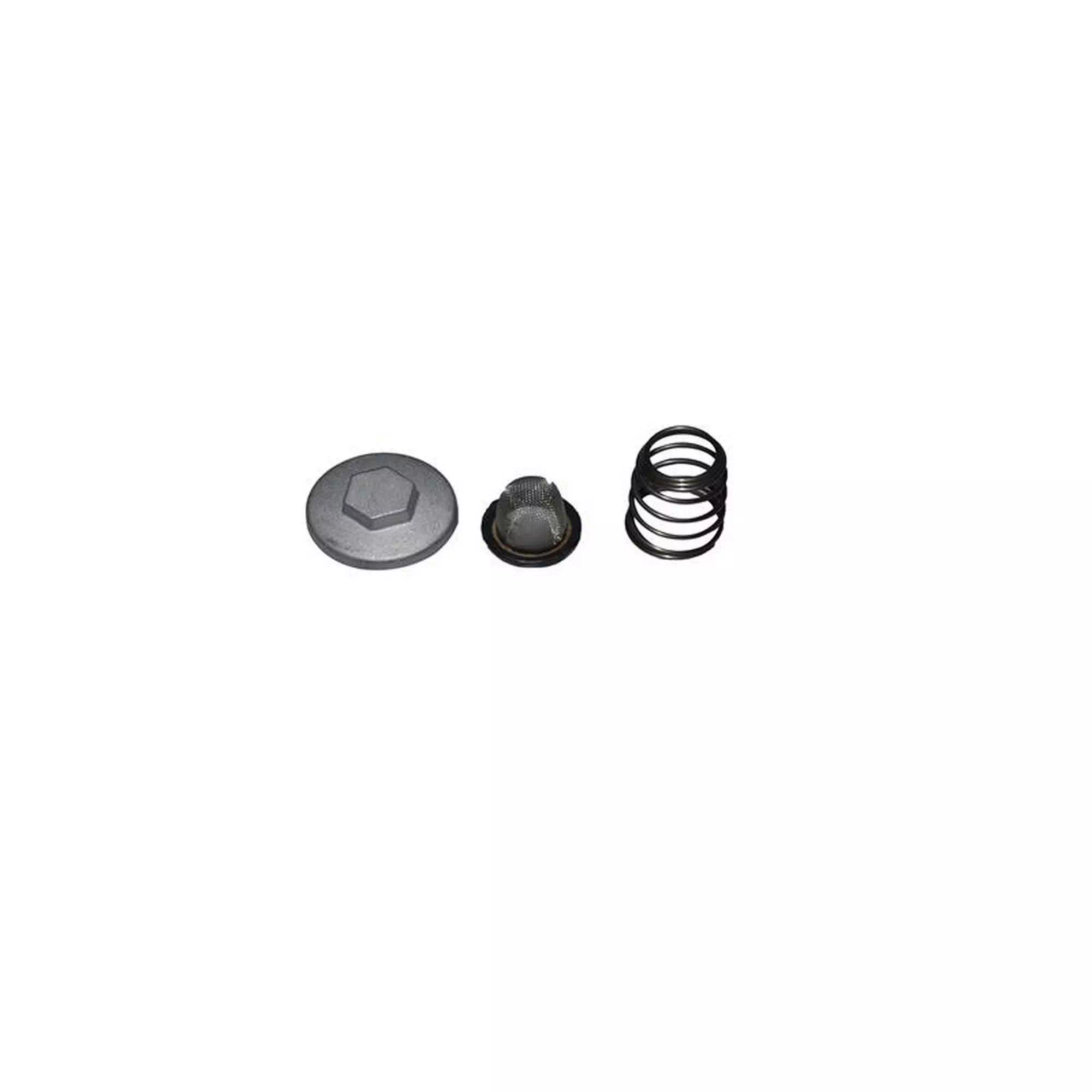 RKS TNT 125 PRO YAĞ SÜZGECİ KAPAĞI TAKIM #RK 41566